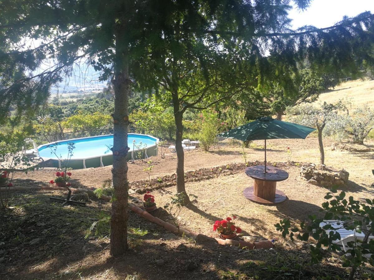 La Rosa Dei Venti Villa Monterotondo  Kültér fotó